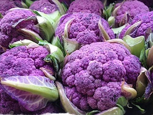 Seeds Vegetable Cauliflower Purple Cabbage - 100 Seeds
