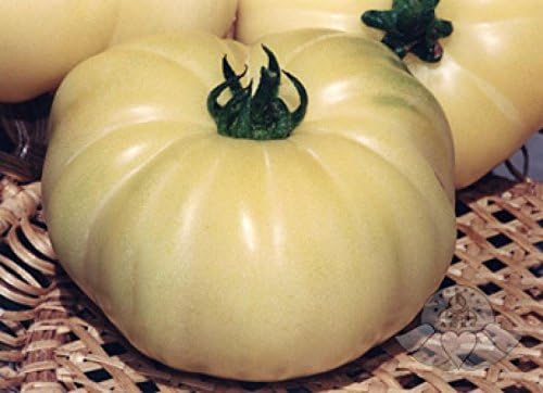 NIKA SEEDS - Seeds Vegetable Tomato Great White - 25 Seeds