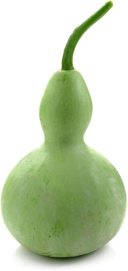 Bottle Gourd Seeds – Lagenaria Siceraria | Annual | Fast-Growing, High-Yielding & Edible/Ornamental Variety