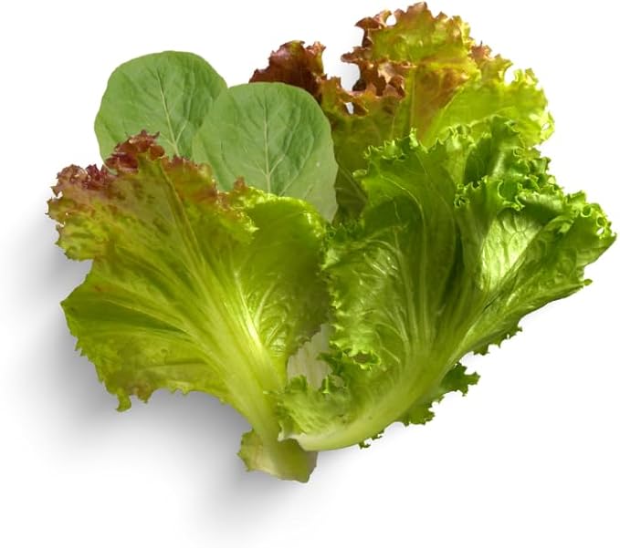 Gardeners' Choice Products Heirloom Cutting Mix Lettuce - Complete Seed Pod Plugs with Plant Food - 10 Pods for Hydroponic Gardens, Click and Grow, Lettuce Grow and Outdoor Gardens