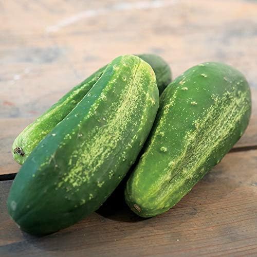 Park Seed Variety of Cucumber Seeds, Planting Vegetables, Easy to Grow, Perfect for Harvesting, Organic Excelsior F1, Pack of 10