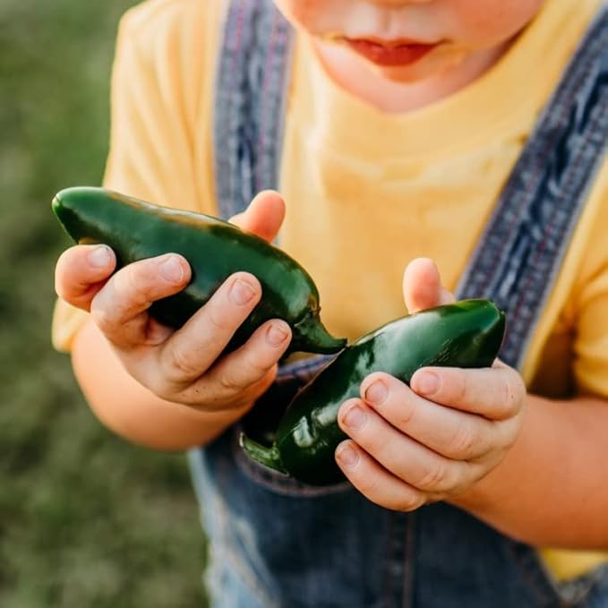 Craig's Grande Jalapeno - 25 Seeds - Heirloom Giant Jalapeno Variety, Non-GMO Vegetable Seeds for Planting in The Home Garden, Thresh Seed Company