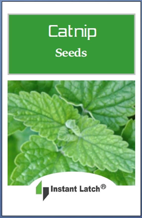 3000 Catnip Seeds for Planting Non GMO Catnip Seeds Fresh Cat Nip Herb Perrenial Garden Seed