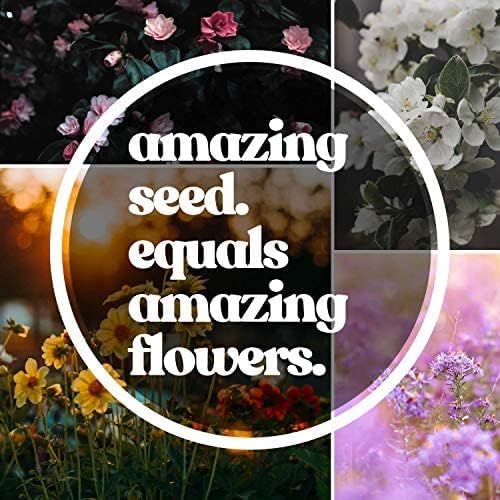 Bulk Wildflower Seeds - California Pollinator Mix – 1/4 LB (~160,000 Seeds) – Non-GMO Annual & Perennial Flower Blend – Native Blooms for Landscaping, Bees, Bouquets