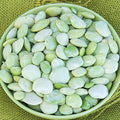 Fordhook Lima Bean Seeds - 100 Count Seed Pack - Consistent Performer in Vegetable Gardens -Country Creek LLC