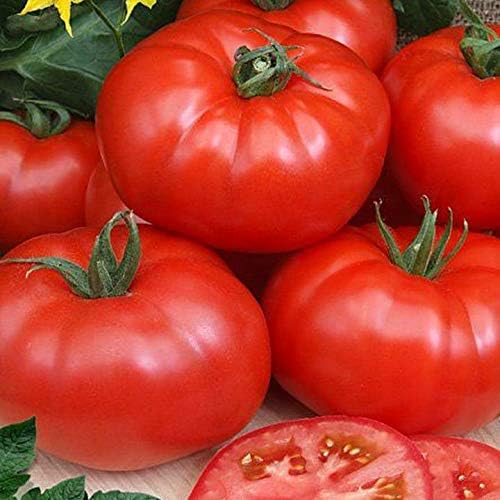 Seeds Red Mikado Tomato Heirloom Vegetable for Planting Non GMO