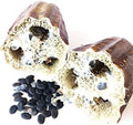 Organic Luffa Gourd Seeds (Luffa acutangula) 10 Seeds (0.2 Grams) - Loofah, Loofa, Luffah Gourd - Edible and Grow to Make Your Own Sponges - Sponge Gourd Seeds by Smoke Camp Crafts