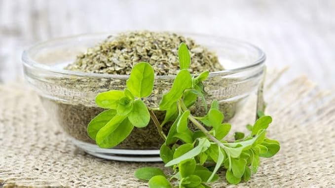 Seeds4planting - Seeds Marjoram Heirloom Herbs Non GMO 1000 Seeds