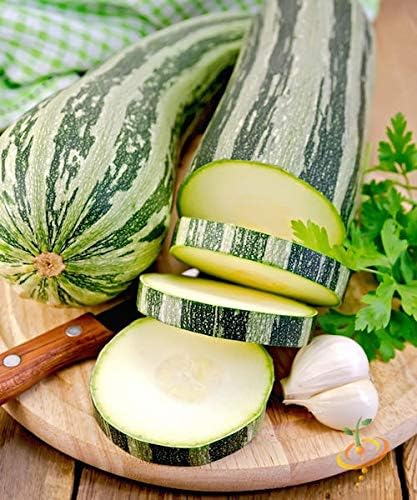 This is a Mix 50 Zucchini and Squash Mix Seeds 12 Varieties Non-GMO Delicious Grown in USA. Rare Super Profilic Cucurbita Pepo