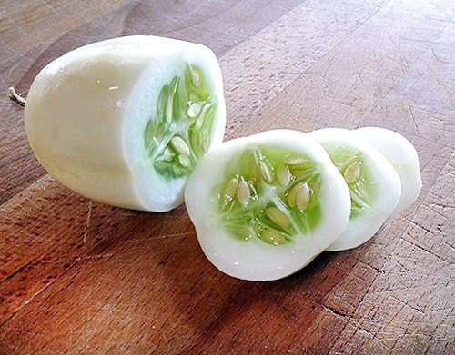 30 White Wonder Sweet Cucumber Seeds, Heirloom Non-GMO, a.k.a. Albino, Ivory King, Jack Frost, Landreths White Slicing, Cucumis sativus, from USA