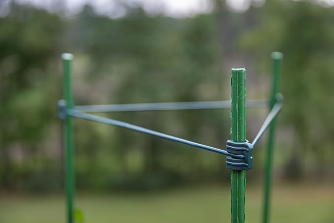 Gardzen 3-Pack Tomato Cage, Plants Support, Trellis Climbing Triangular Cage, Stand for Pepper Eggplant Tomato Flowers