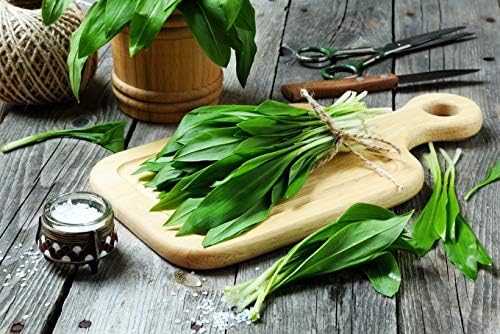Wild Garlic Ramsons Bear Leek Wild Onion Seeds for Planting 100+ Non-GMO Seeds Herbs & Vegetable Garden