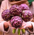 Seeds Vegetable Purple Globe Artichoke - 20 Seeds