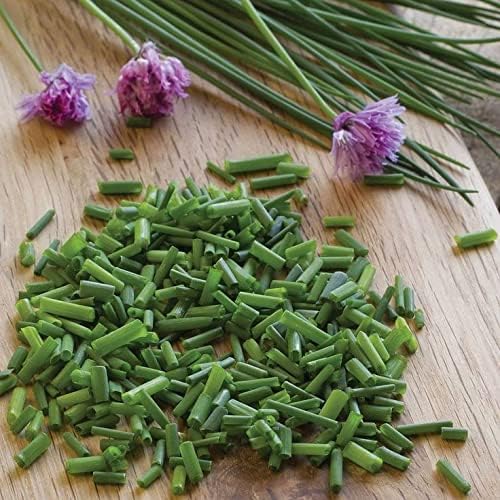 Seeds Chives Onion - Heirloom Vegetable - GMO Free