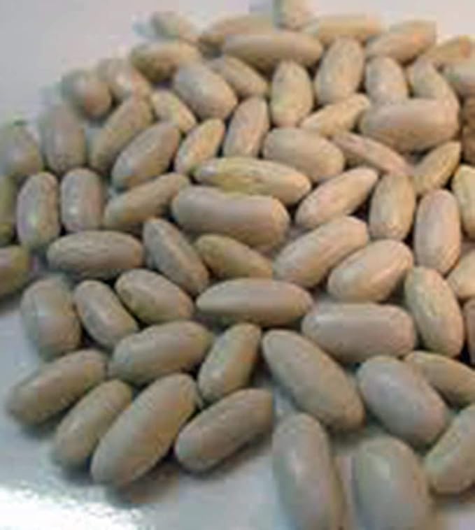 Slenderette Bush Bean Seeds, Non GMO, 100+ Seeds, Great Tasting and Healthy