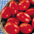 Park Seed Variety of Tomato Seeds, Planting Vegetables, Easy to Grow, Non-GMO, Perfect for Harvesting, San Marzano Organic, Pack of 30