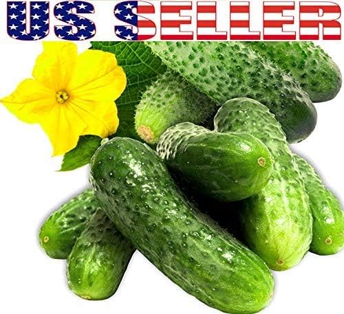 100 Cucumber Mix Seeds 12 Varieties Non-GMO Delicious and Crispy, Rare and Super Prolific, Cucumis sativus, Grown in USA