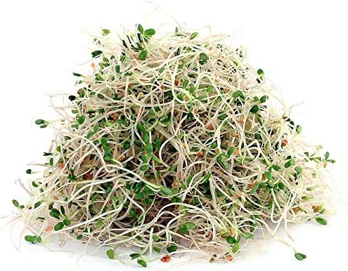 2 oz Megan's Sprouting Mix- Perfect Blend of Mung Bean, Alfalfa, Broccoli and Radish Sprouting Seeds, Non-GMO, Country Creek LLC