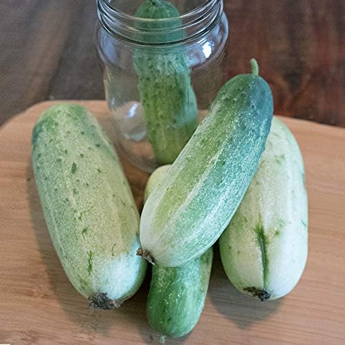 Park Seed Variety of Cucumber Seeds, Planting Cucumbers, Vegetable Seeds, Easy to Grow, Non-GMO, Perfect for Harvesting, F1 Garden Bush Pickle, Pack of 30