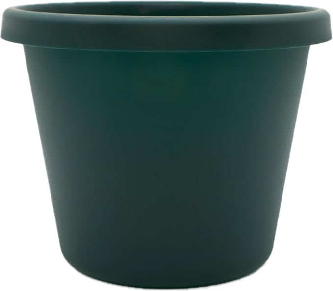 The HC Companies Prima Round Plastic Plant Pot w/Rolled Rim - Lightweight & UV Resistant Flower Pot for Herbs & More - Outdoor & Indoor Plant Pots w/Drainage (10 inch, Evergreen, Pack of 1)