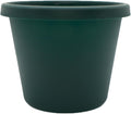 The HC Companies Prima Round Plastic Plant Pot w/Rolled Rim - Lightweight & UV Resistant Flower Pot for Herbs & More - Outdoor & Indoor Plant Pots w/Drainage (6 inch, Evergreen, Pack of 1)