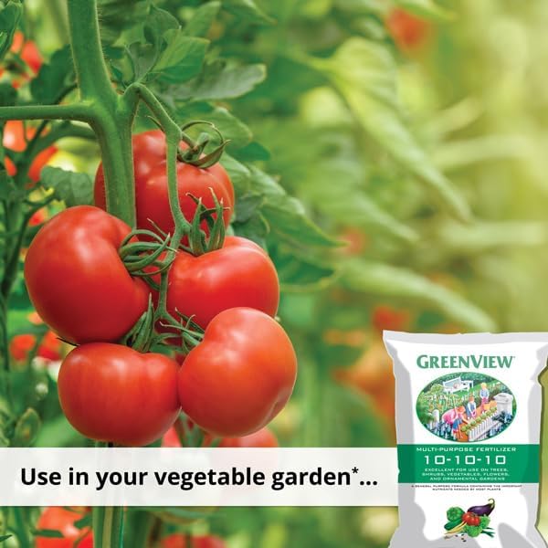 Green View No.40 10-10-10 All Purpose Fertilizer (21-30192)