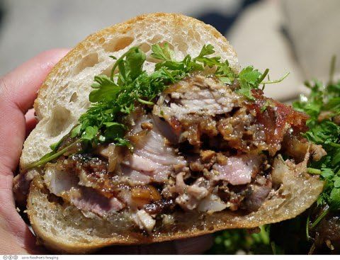 Cress Curled Great for Sprouting Garden Herb by Seed Kingdom 1,000 Seeds