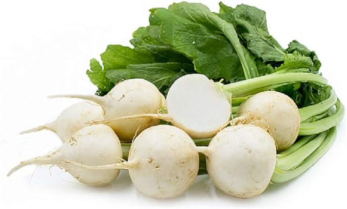 White Egg Turnip Seeds 100 Count, COOL BEANS N SPROUTS Brand. Heirloom. Non-GMO. Home Gardening.