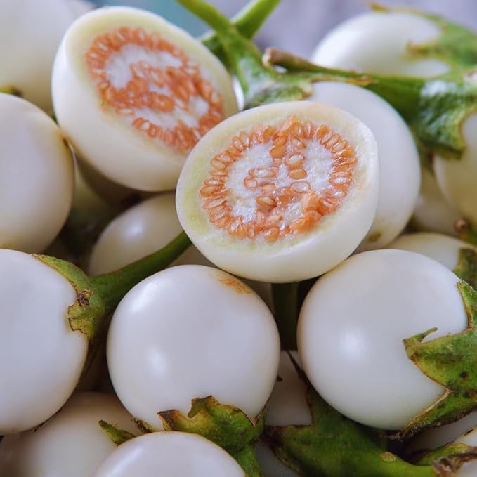 Eggplants Seeds, 100 White Eggplants Seeds for Planting Outdoor, Eggplants Vegetable Seeds