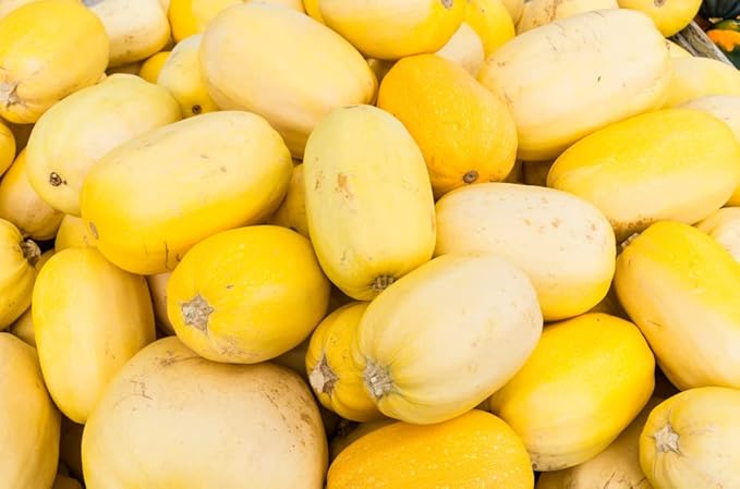Spaghetti Squash Seeds for Planting | Grow Your Own Fall Decor (100 Seeds)