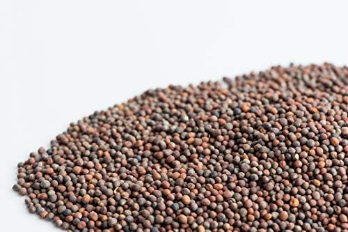 16 oz Broccoli Seeds, Non-GMO, Sprouting Sprouts Microgreens, Pure Seed, Country Creek LLC. Brand.