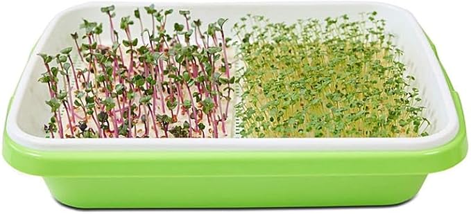 Park Seed Easy DIY Planting Sow Effortless Collection Seed Mats, Microgreens Kit