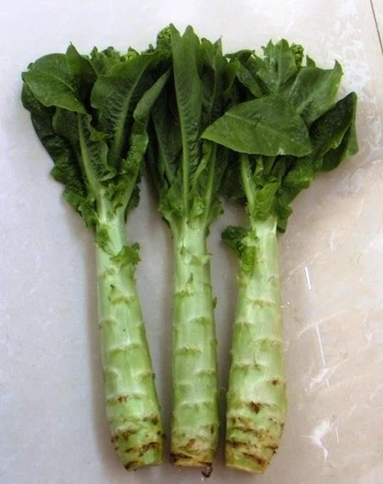Seeds Asparagus Lettuce Celtuce - 65 Days for Salad - Heirloom Vegetable - GMO Free