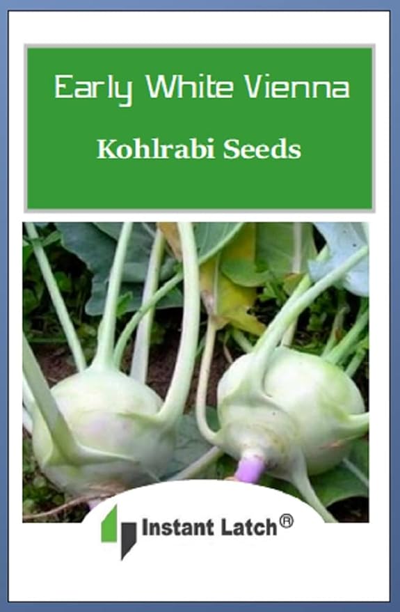300 Early White Vienna Kohlrabi Seeds for Planting Non GMO Heirloom Seeds Instant Latch Fresh Garden Seed