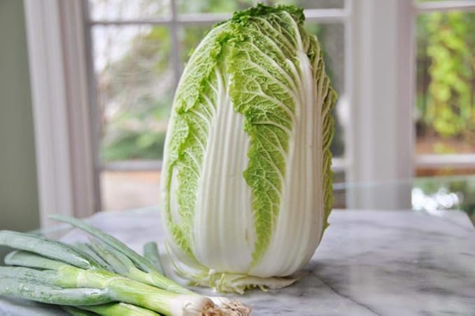 300+ Seeds Napa Peking Cabbage Michelle - Vegetable Green