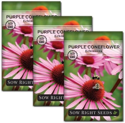 Sow Right Seeds - Purple Coneflower/Echinacea Flower Seeds for Planting - Non-GMO Heirloom - Plant for an Herbal Tea Garden - Attract Pollinators - Great Cut and Come Back Flower (3)