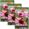 Sow Right Seeds - Purple Coneflower/Echinacea Flower Seeds for Planting - Non-GMO Heirloom - Plant for an Herbal Tea Garden - Attract Pollinators - Great Cut and Come Back Flower (3)
