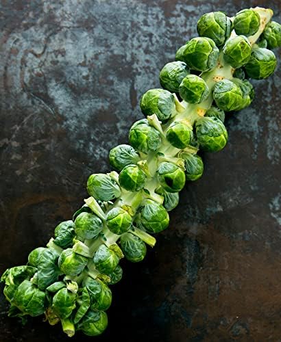 SeedsUP - 300+ Seeds Long Island Brussels Sprouts Cabbage - Vegetable Green