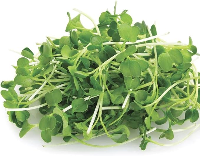 Park Seed Easy DIY Planting Sow Effortless Collection Seed Mats, Organic Arugula Microgreen, (Set of 2)
