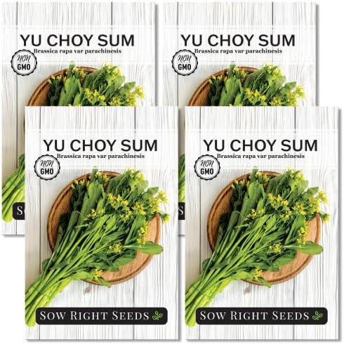 Sow Right Seeds - Yu Choy Sum Seeds for Planting - Unique Chinese Cabbage Variety - Asian Vegetable - Easy to Grow - Non-GMO Heirloom Greens - Versatile in Large Gardens or Small Spaces (4)