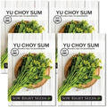 Sow Right Seeds - Yu Choy Sum Seeds for Planting - Unique Chinese Cabbage Variety - Asian Vegetable - Easy to Grow - Non-GMO Heirloom Greens - Versatile in Large Gardens or Small Spaces (4)