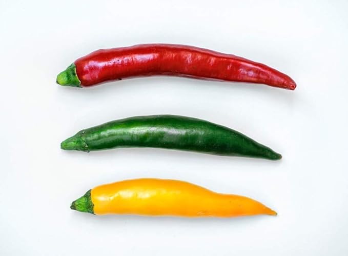 40+ Seeds Hot Ornamental Chili Pepper Mix - Vegetable Multicolor