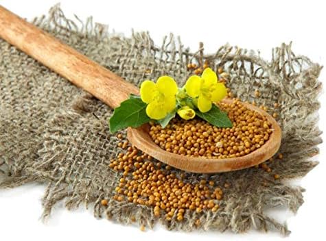 CEMEHA SEEDS - Seeds Yellow Mustard Non GMO Vegetable for Planting 500 Seeds