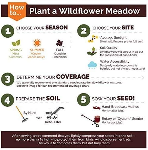 Dirt Goddess Super Seeds Northeast Wildflower Seed Mix (1 Lb)