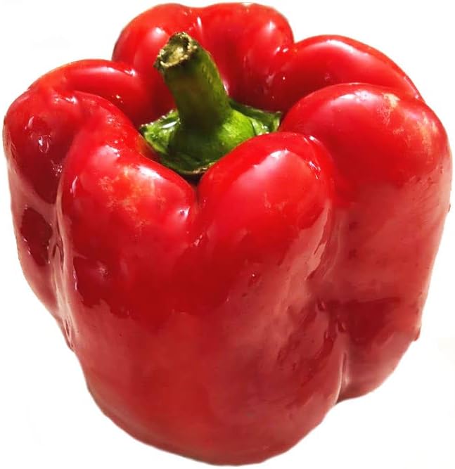 Organic California Wonder Pepper Seeds (Capsicum annuum) 100 Seeds (1 Grams) Sweet Pepper Bell Pepper Seeds by Smoke Camp Crafts