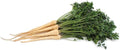 Hamburg Rooted Parsley Seeds - 100 Count Seed Pack - Non-GMO - Parsley Flavored Root and Leaves. Used as a Flavoring in soups and Salads, as a Garnish. - Country Creek LLC