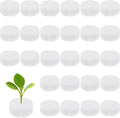 30-Pack Hydroponics Sponges, 2.76 Inch Growing Media Cylindrical Sponges for Planting Gardening Tool/Grow Seedlings/Home Vegetable Flower, Soilless Cultivation Seedling [White]