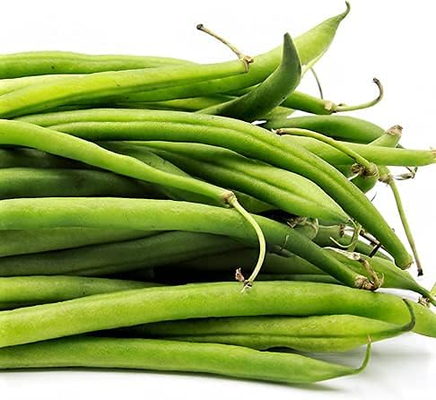 Blue Lake Bush Bean Seeds - 100 Count Seed Pack - A Tasty, Heirloom Bean That Produces Huge yields - Country Creek LLC