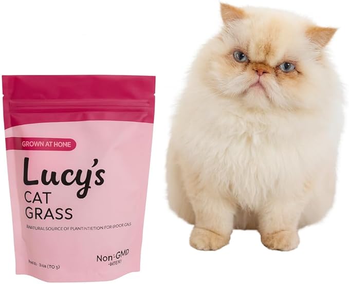 Cat Grass Seeds for Indoor Cats – Non-GMO Oats & Rye Sprouting Seed Mix | Easy to Grow Fresh Cat Grass for Digestion & Hairball Support | High Germination (12 oz)