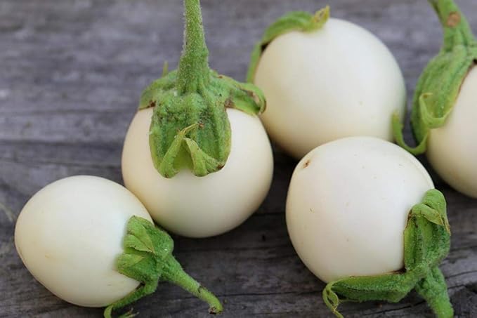 30+ Seeds Eggplant Round Mix - Vegetable Multicolor